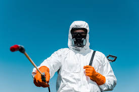 Trusted Kingston, NY Pest Control Experts